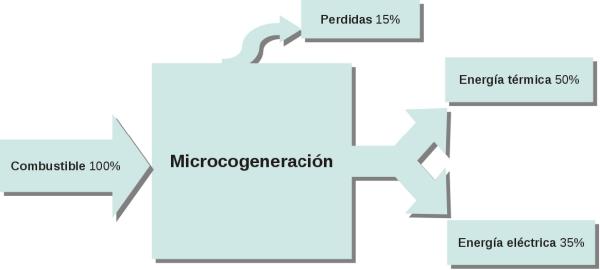Micro-cogeneración 1